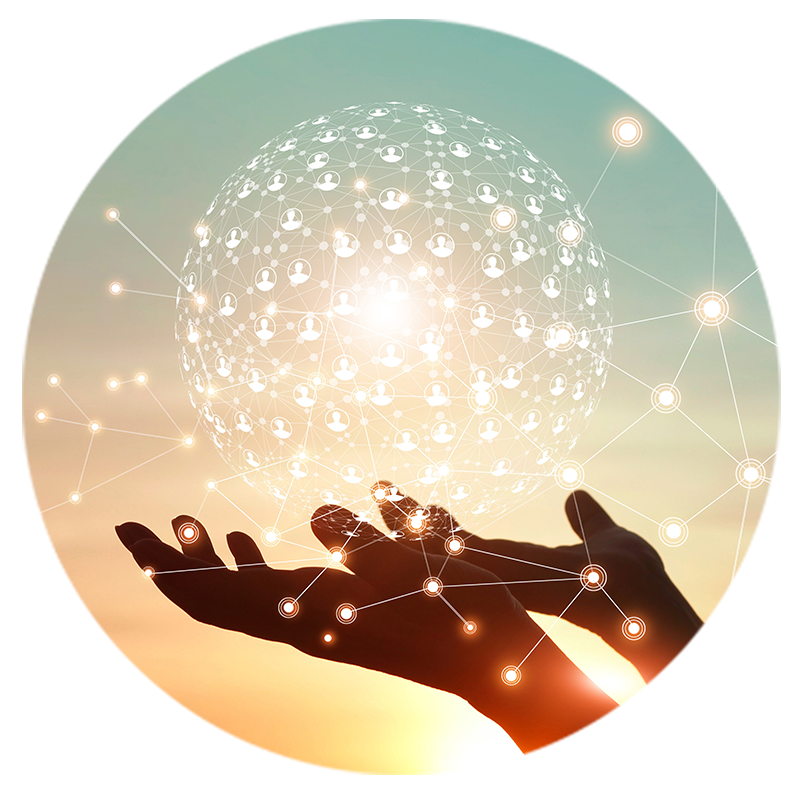 1-consumer-insights